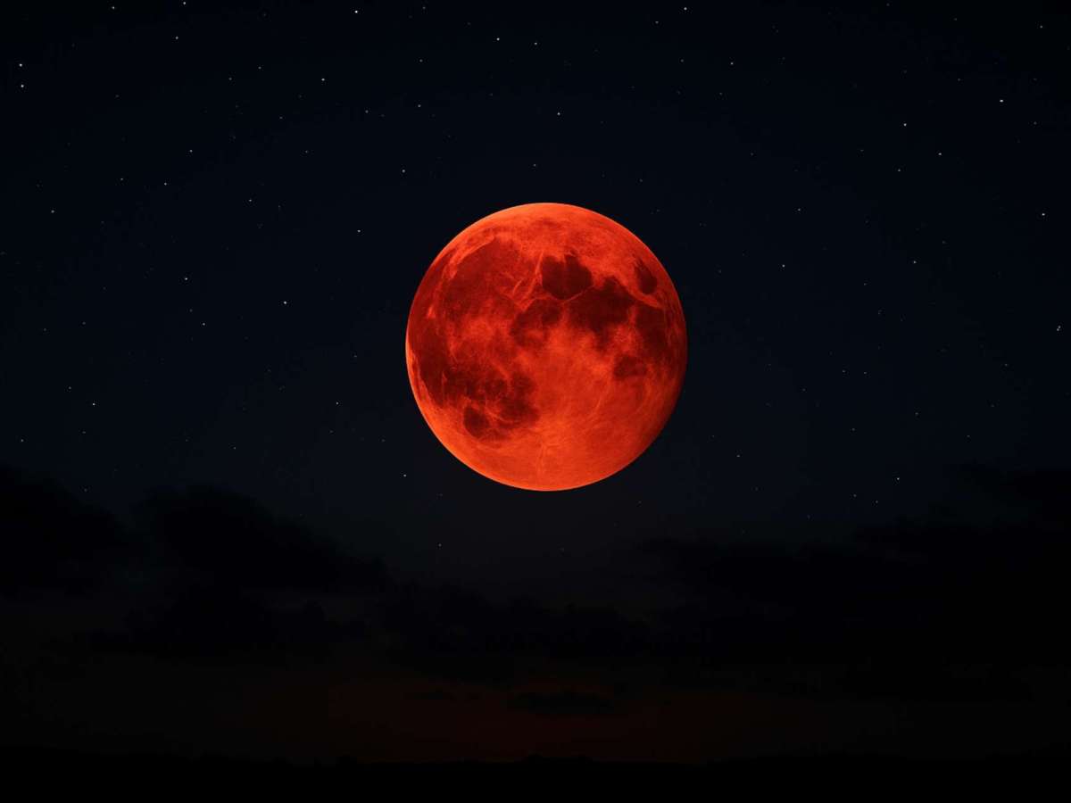 Noite Somente Noite –&nbsp;Poesia