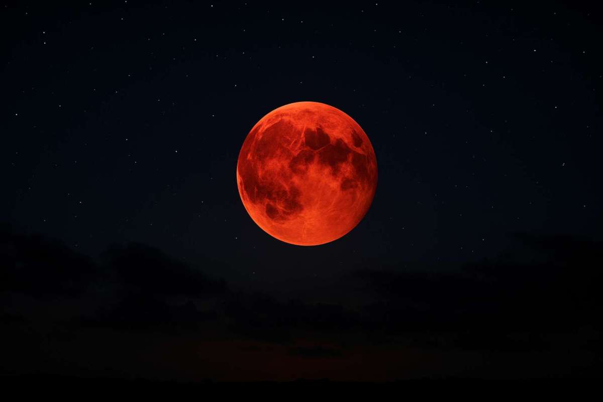 Noite Somente Noite –&nbsp;Poesia