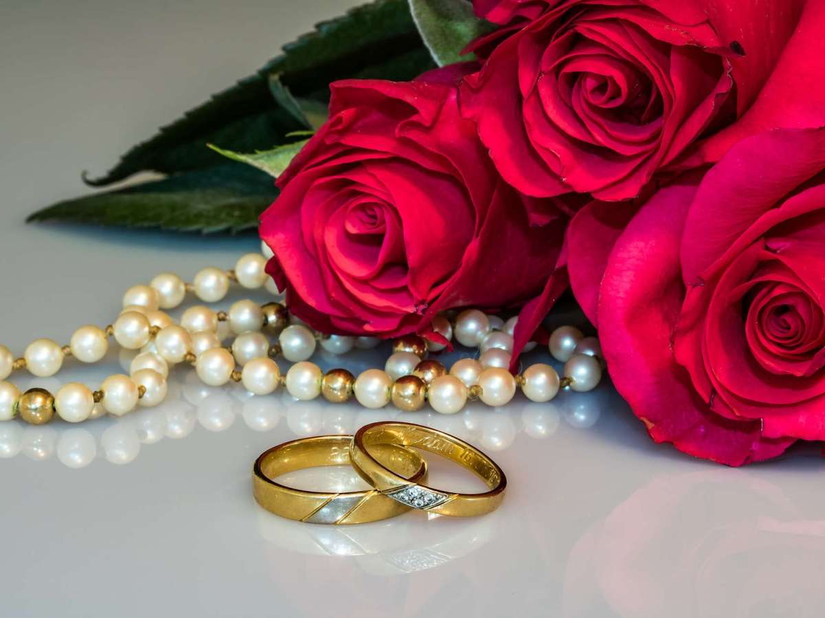 Lançamento do Livro:&nbsp;Eventos