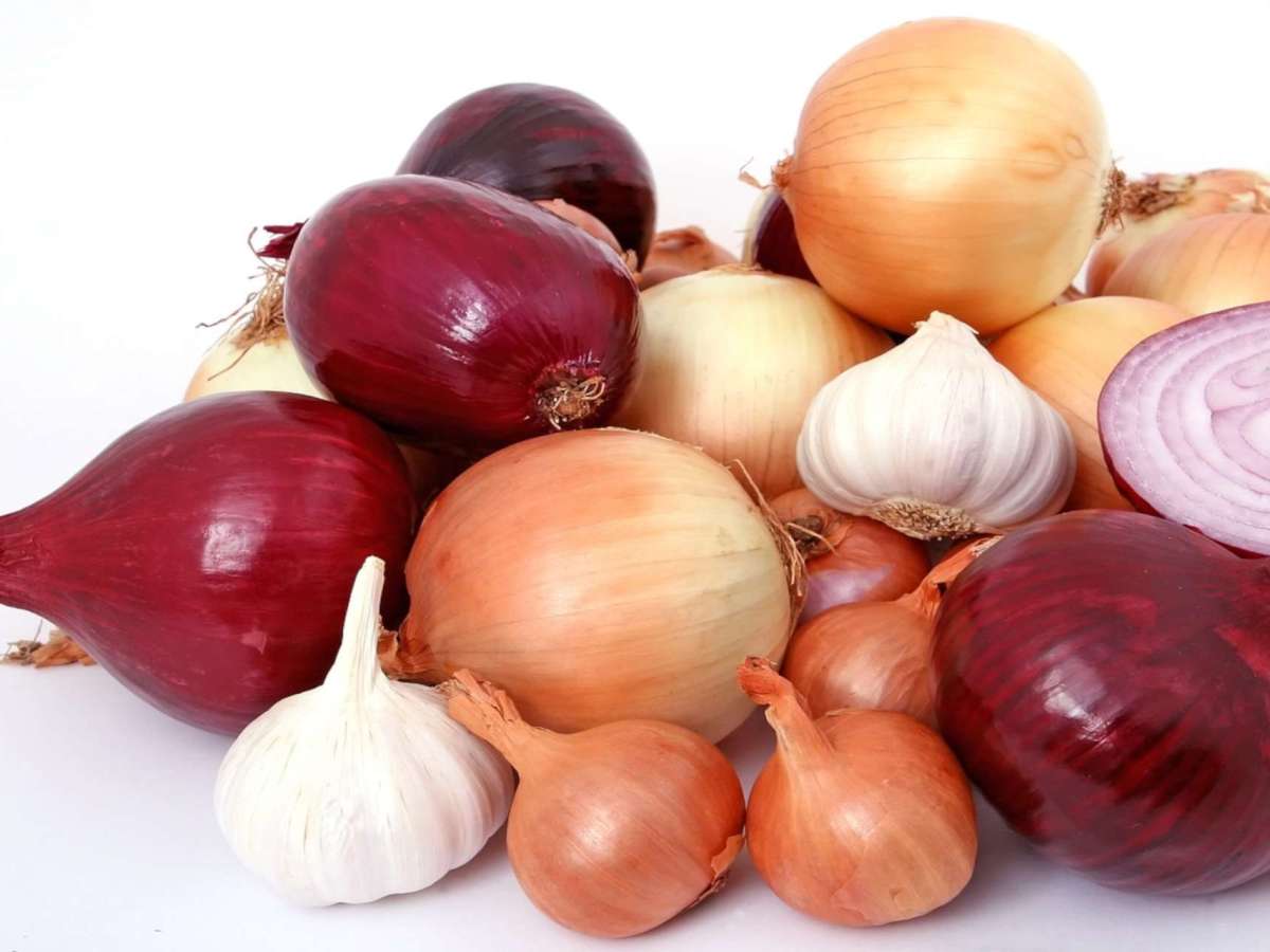 Cebola
