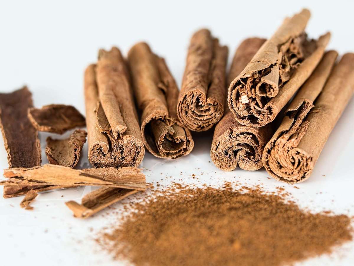 Canela