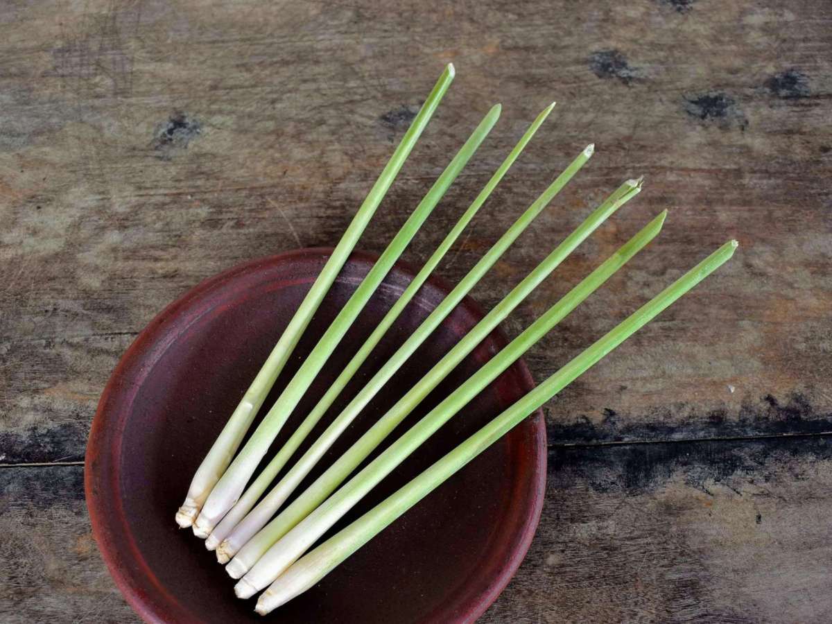 Chá de Capim&nbsp;Limão